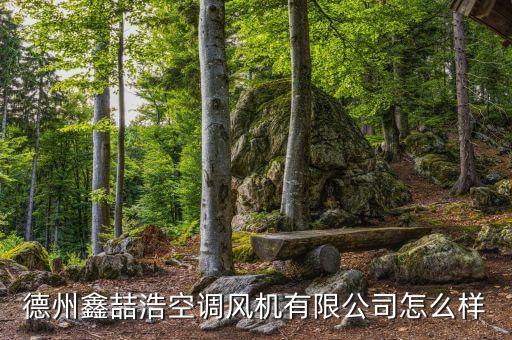 德州鑫喆浩空調(diào)風(fēng)機有限公司怎么樣
