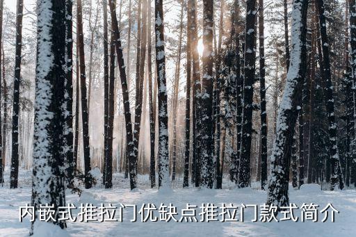 衛(wèi)浴暗軌移門圖片大全