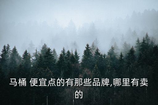 馬桶 便宜點(diǎn)的有那些品牌,哪里有賣的
