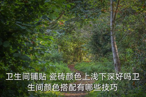 衛(wèi)生間鋪貼 瓷磚顏色上淺下深好嗎衛(wèi)生間顏色搭配有哪些技巧