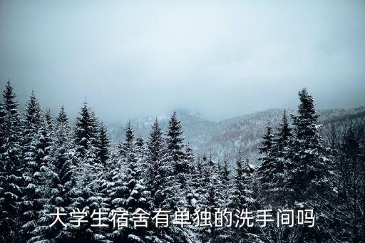 獨立衛(wèi)浴底座圖片大全集