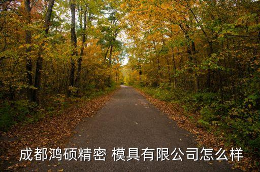 成都鴻碩精密 模具有限公司怎么樣
