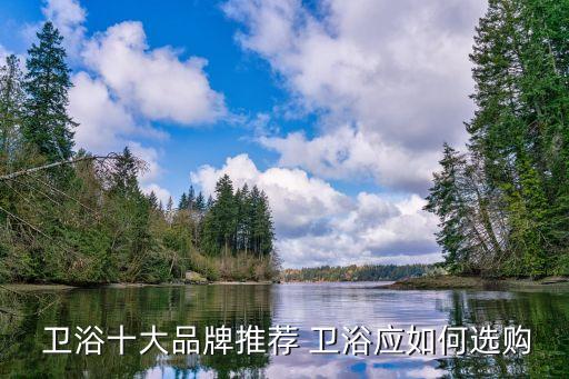 哪種衛(wèi)浴不能買品牌的了