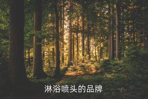淋浴噴頭的品牌