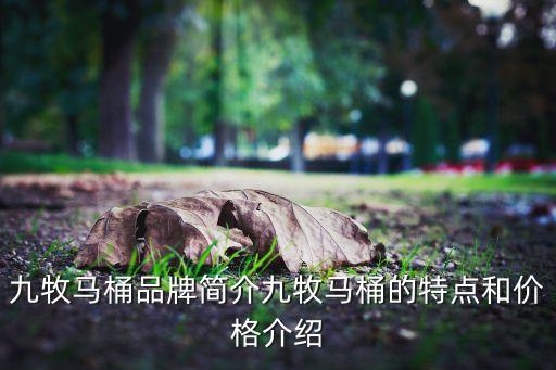 九牧馬桶品牌簡(jiǎn)介九牧馬桶的特點(diǎn)和價(jià)格介紹