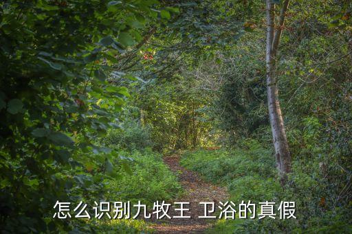 衛(wèi)浴店鋪標(biāo)志圖片高清版,馬可波羅衛(wèi)浴標(biāo)志圖片