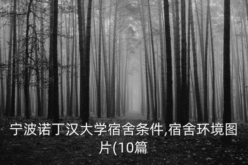寧波諾丁漢大學(xué)宿舍條件,宿舍環(huán)境圖片(10篇