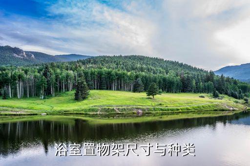 浴室置物架尺寸與種類