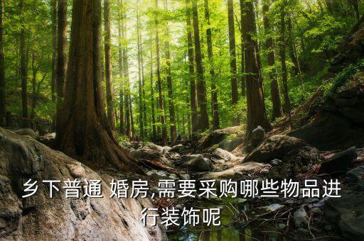 鄉(xiāng)下普通 婚房,需要采購(gòu)哪些物品進(jìn)行裝飾呢
