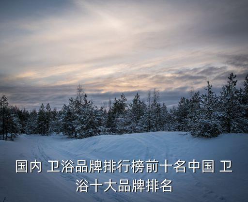 衛(wèi)浴倒閉企業(yè)有哪些品牌,倒閉的大型衛(wèi)浴企業(yè)