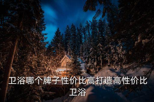 想做衛(wèi)浴有什么品牌可以做