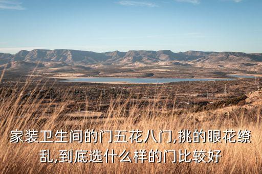 衛(wèi)浴間開(kāi)門效果圖片大全