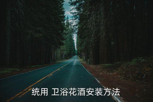 衛(wèi)浴掛鉤怎么裝的圖片大全,衛(wèi)浴廣告圖片