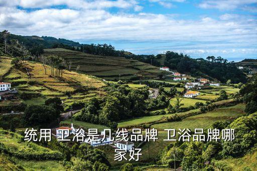  統(tǒng)用 衛(wèi)浴是幾線品牌 衛(wèi)浴品牌哪家好