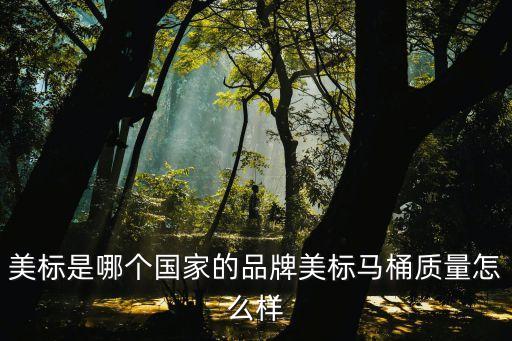 美標(biāo)是哪個(gè)國(guó)家的品牌美標(biāo)馬桶質(zhì)量怎么樣