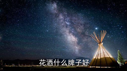 衛(wèi)浴花灑性價比高推薦品牌