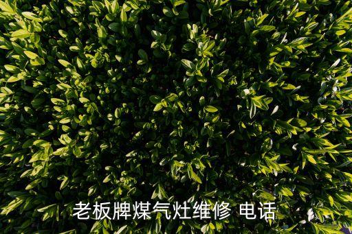 和成衛(wèi)浴鎮(zhèn)江售后服務電話,上海和成衛(wèi)浴售后服務中心