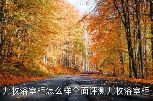 衛(wèi)浴柜雙臺(tái)盆柜尺寸圖片