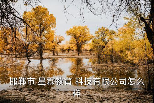 邯鄲市 星霖教育 科技有限公司怎么樣