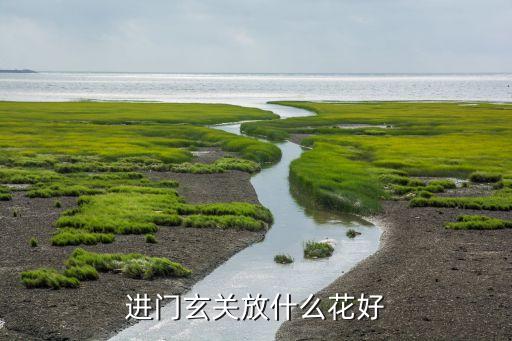 半圓衛(wèi)浴門怎么量尺寸圖片