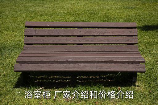 浴室柜 廠家介紹和價(jià)格介紹