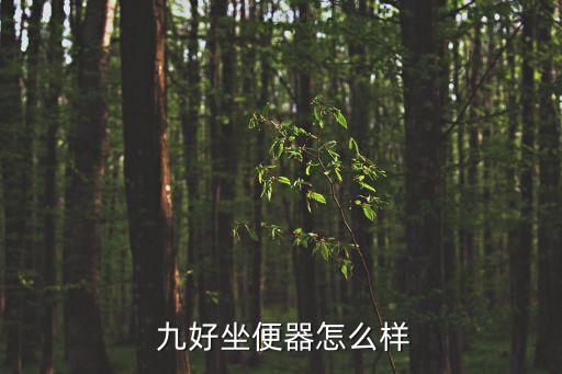  九好坐便器怎么樣