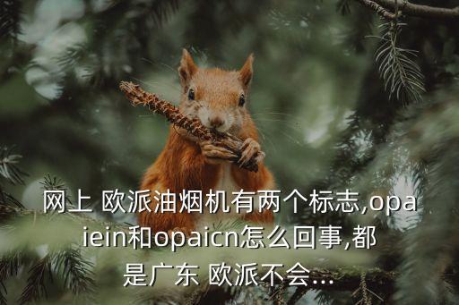 網(wǎng)上 歐派油煙機(jī)有兩個標(biāo)志,opaiein和opaicn怎么回事,都是廣東 歐派不會...
