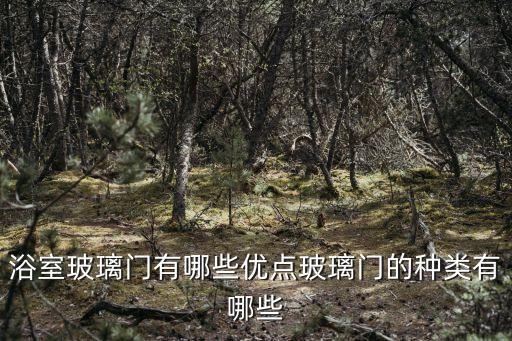 浴室玻璃門有哪些優(yōu)點(diǎn)玻璃門的種類有哪些