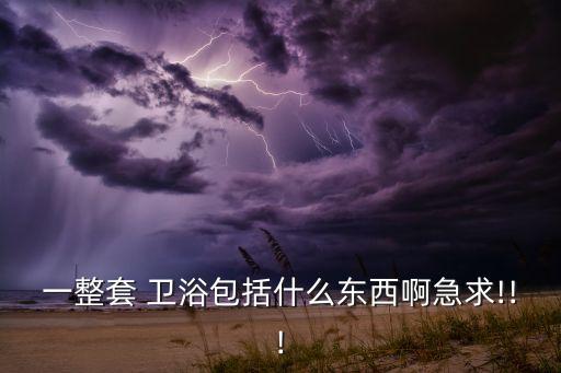 一整套 衛(wèi)浴包括什么東西啊急求!!!