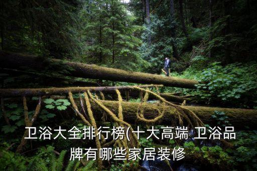 高檔衛(wèi)浴是什么品牌,kdkd衛(wèi)浴是什么品牌