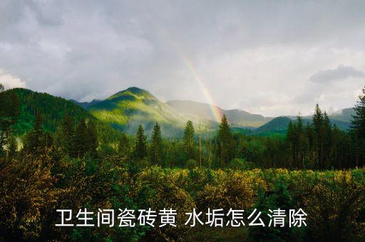 衛(wèi)生間瓷磚黃 水垢怎么清除