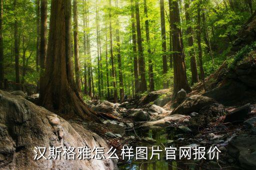 暗裝衛(wèi)浴展柜圖片欣賞大全