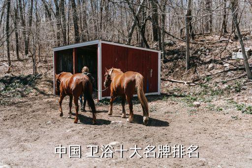 河南衛(wèi)浴有哪些品牌,衛(wèi)浴排名前十的品牌有哪些