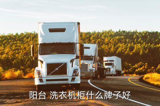 陽(yáng)臺(tái) 洗衣機(jī)柜什么牌子好