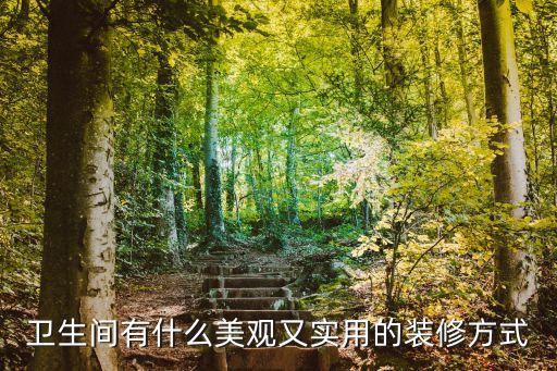 衛(wèi)生間有什么美觀又實(shí)用的裝修方式