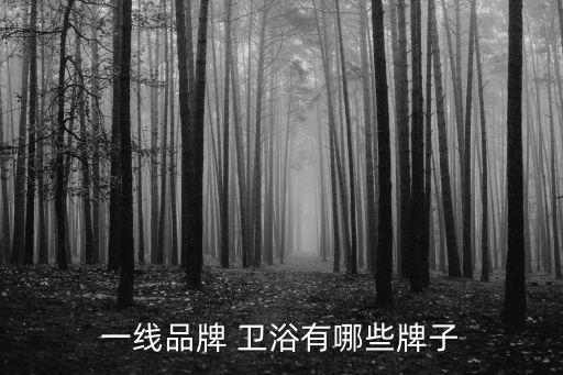 一線品牌 衛(wèi)浴有哪些牌子