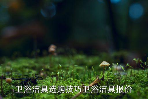 銀色衛(wèi)浴室柜圖片大全新款