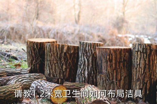 請(qǐng)教1.2米寬衛(wèi)生間如何布局潔具