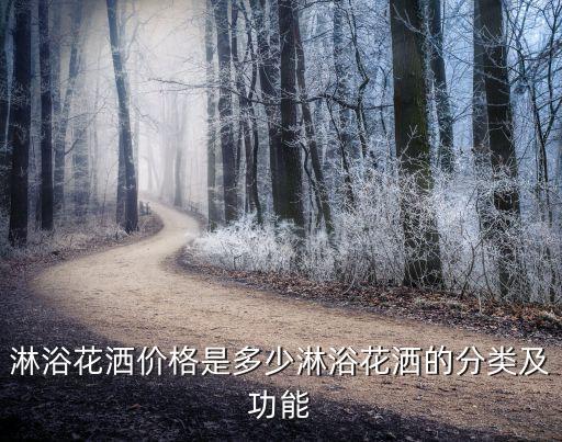 淋浴花灑價格是多少淋浴花灑的分類及功能