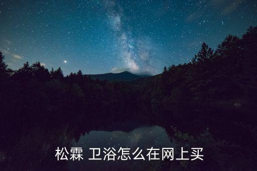  松霖 衛(wèi)浴怎么在網(wǎng)上買