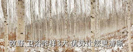 牧野 衛(wèi)浴咋樣3大 優(yōu)勢(shì)讓您更清晰