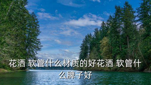 花灑 軟管什么材質(zhì)的好花灑 軟管什么牌子好