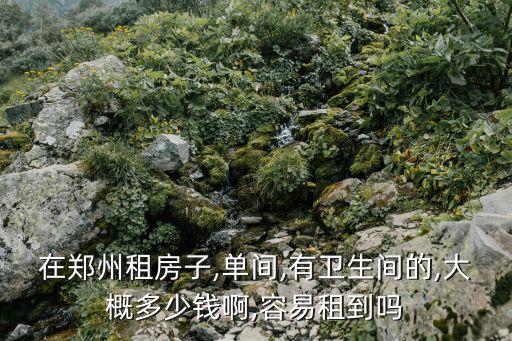 城中村獨(dú)立衛(wèi)浴圖片大全