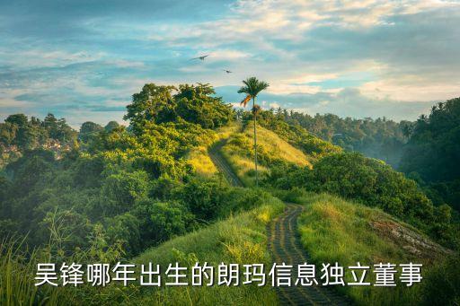 吳鋒哪年出生的朗瑪信息獨立董事