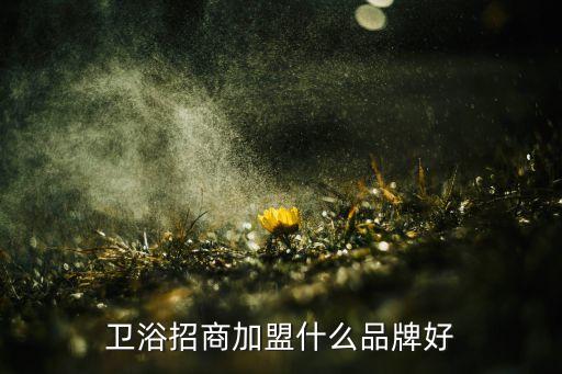 安朗衛(wèi)浴倉庫圖片大全