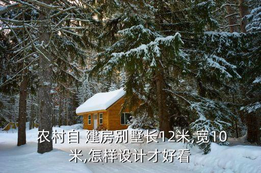  農(nóng)村自 建房別墅長12米,寬10米,怎樣設(shè)計才好看