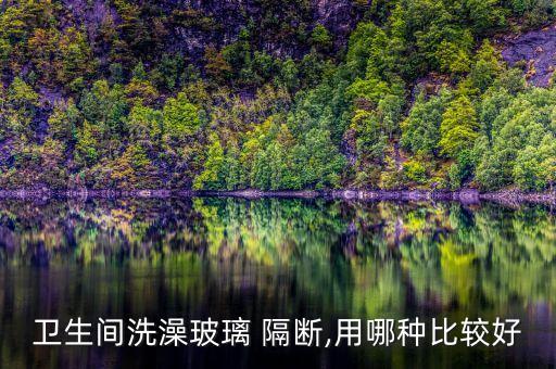主衛(wèi)浴缸淋浴隔斷圖片大全