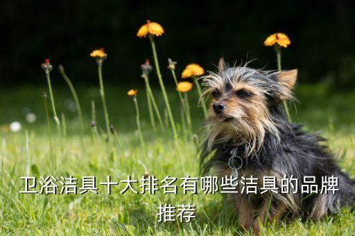  衛(wèi)浴潔具十大排名有哪些潔具的品牌推薦