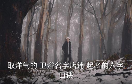 衛(wèi)浴品牌起名技巧大全,衛(wèi)浴店鋪起名大全