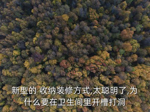 新型的 收納裝修方式,太聰明了,為什么要在衛(wèi)生間里開(kāi)槽打洞